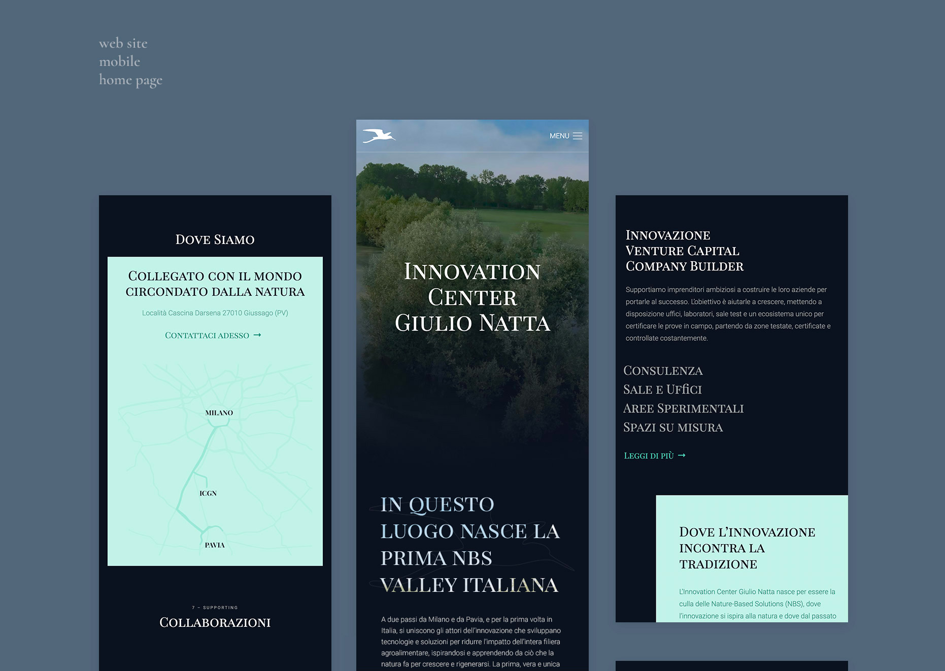 Sito web Innovation Center Giulio Natta